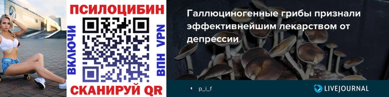 Псилоцибиновые грибы прущие грибы  Сосенский 